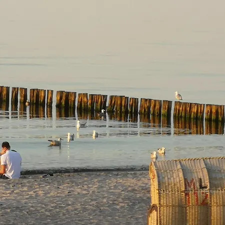 Febu An Den Weiden * Ostseebad Nienhagen