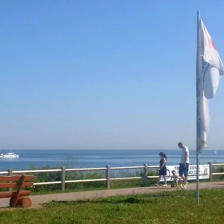 Febu An Den Weiden