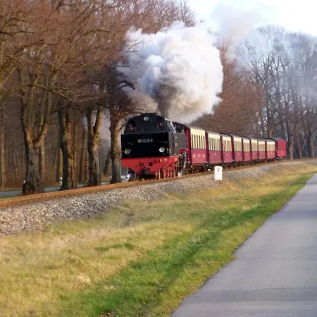 Febu An Den Weiden * Ostseebad Nienhagen